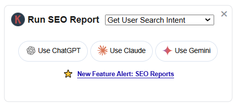 Run SEO Report- Keywords Everywhere