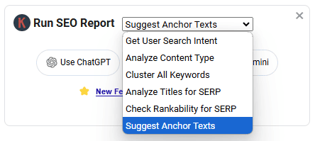 Suggest anchor texts by Keyword Everywhere