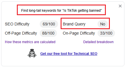 TikTok keyword brand query