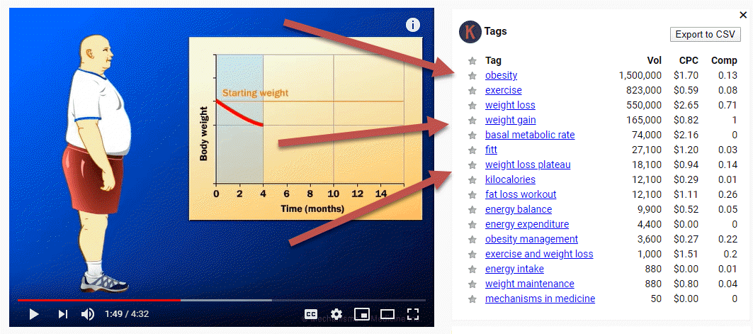 Youtube s View High Monthly Search Volume Youtube s