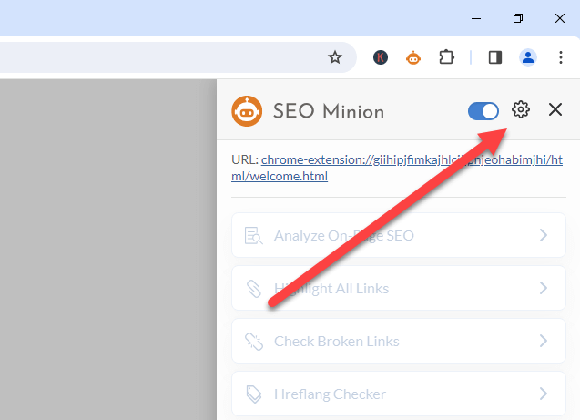 SEO Minion Settings Page